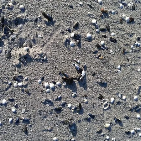 Ostseehaus Odin Doppelhaushaelfte Dom wakacyjny Wiek auf Rügen